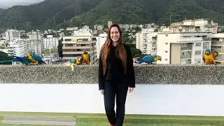 Las mascotas de Caracas 🦜: guacamayas libres en Venezuela 🇻🇪 | Gladys Seara