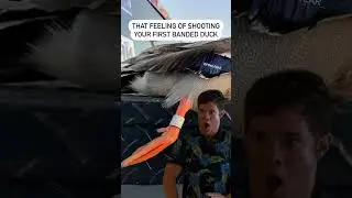 Shooting a banded duck #meme #memes #shorts #trending #viral #lmao #haha #funny #hunting