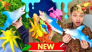 Water Growing Toys in GIANT POOL! (GROW 6x in Size) | COMPILATION