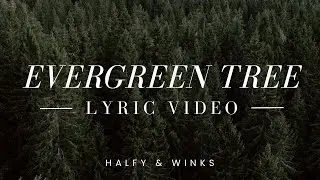 Evergreen Tree Official Lyric Video || Halfy & Winks