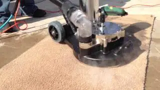 Hoggatt Cleaning & Restoration MyTee T-Rex Demo