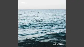 Hey Ocean