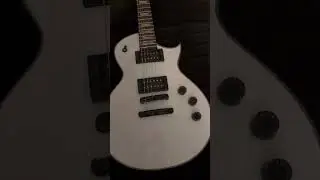 Zander&rsquo;s new guitar!🎸 #metallica #metal #jameshetfield #music #ltd
