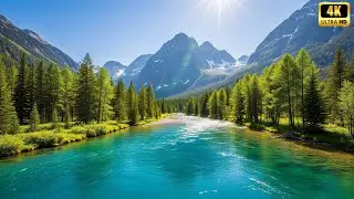 Deep Jungle River &bull; Exotic Water Sounds for Tropical Dreaming [4K] 🦜