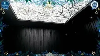 stretch ceiling with art print and backlit