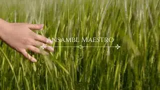 Serbian Ethno Music - 