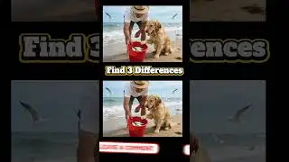 🍀5% spot 3 differences in 15 seconds!