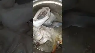 Burasi #shortvideo #proudilocano #asmr