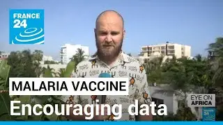 Fight against malaria: Long awaited vaccine is breakthrough for scientists &bull; FRANCE 24 English