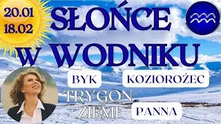 Słońce w WODNIKU♒️ 20.01 -⛰️ Trygon ziemi - Byk, Panna, Koziorożec