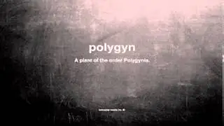 What does polygyn mean
