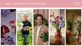 Terugblik content & activiteiten januari 2025