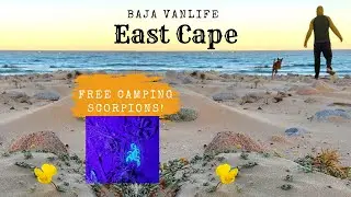 East Cape, Baja Mexico - Free Camping on the Beach, Scorpion Hunting and Beach Days