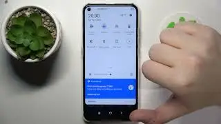 Есть ли у TCL Plex функция записи экрана?