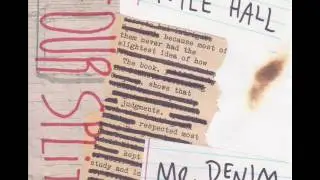 Mr. Denim - (Fucking) Pop Song