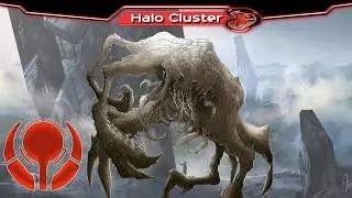 Wer waren die Vorl&auml;ufer? I Halo-Kunde