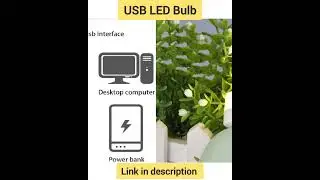 USB Lights by Night Plug-in Mini LED Bulb #shorts