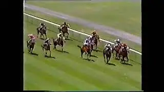 Morphettville Races 1 - 7 Sat 29 Nov 1986