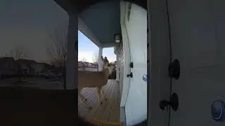 Curious deer rings doorbell! 😮 #viral #funny #trending #animals #ringdoorbell #memes #sora #ai