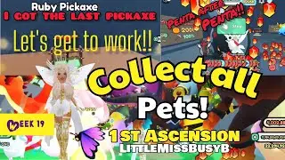 Collect all pets | Ascension | week 19