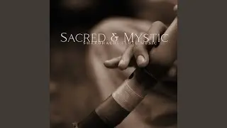 Wild Life, Calm Music to Sleep