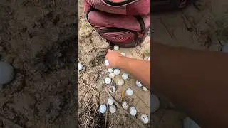 5 reasons to never buy used golf balls!