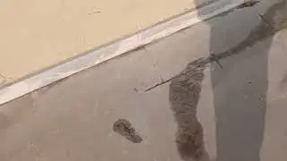 Ab Batao Ye Sookh Kyun Gaya Ab Aur Pehle Kyun Nahi Sookha? (10:07am)