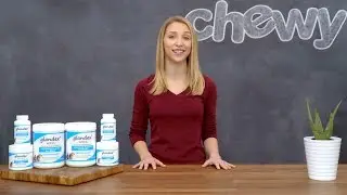 Glandex Dog Supplements | Chewy