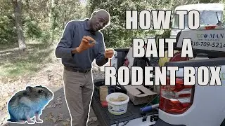 Eco Friendly Rodent Control with a Bait Box