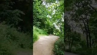 Велесов овраг коломенское (4)
