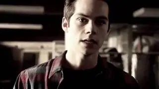 STEREK; apologize