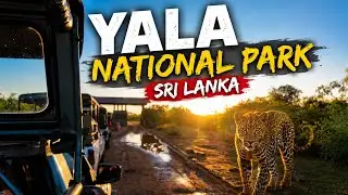 YALA NATIONAL PARK | 4K| SRI LANKA