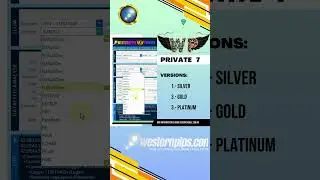 Westernpips Private 7 #forex #trading #hft #private7 #arbitrade #ea #eaforex #forextrading #forex