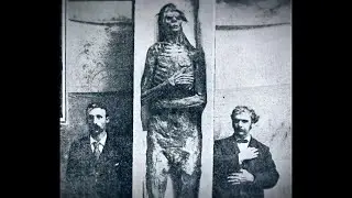 Genesis Giant Discovered?