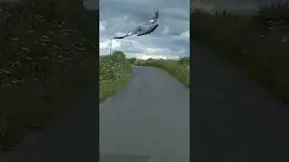 Dumb Dumpers Shoot the Pigeon in Galamuir Road Stirling Scotland UK