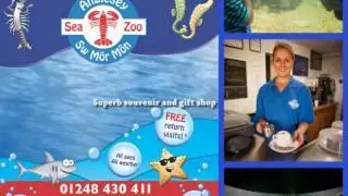 anglesey sea zoo