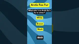 The Jaw-Dropping Truth About Arctic Fox Fur