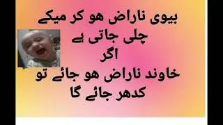 funny pics of 2022/statbyrauf