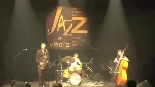 Concert Sylvain CATHALA Trio, 10 janvier 2016