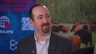 Beef x Dairy: Impact on the Beef Industry