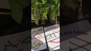 My Calligraphy& Drawing Setup: Behind the Scene|creative workspace Tour#art#shorts#viral #arabicart