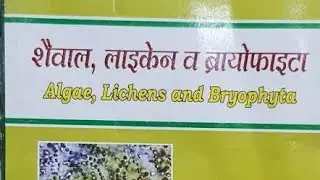 शैवाल और लाइकेन algae and lichen in hindi and english #tgtbiology #pgtbiology #neet ques and ans.