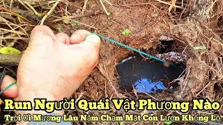 Угорь из канавы_Бегущий монстр откуда-то...О боже, встреча с гигантским угрем_Эпизод 1026 // Гига...