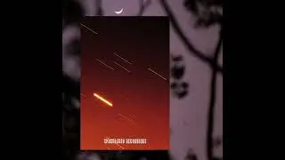 Dan Piu - Dorsia [SPBA002]
