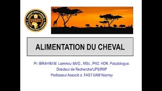 6. ALIMENTATION DU CHEVAL