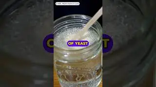 How To Make Pure Oxygen At Home