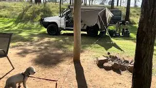 First Camping Trip in My Prado | Solo 4WD Overnight with Dogs
