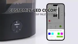Smart Reptile Humidifier | 4L Tank, App Control & 72H Continuous Mist