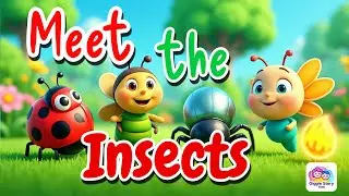 Insects and Bugs for Kids | Learn Bug Names with Fun Cartoon Animations 🐞🦋🐜