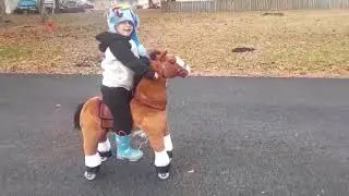 Reviewing The Pony Rider